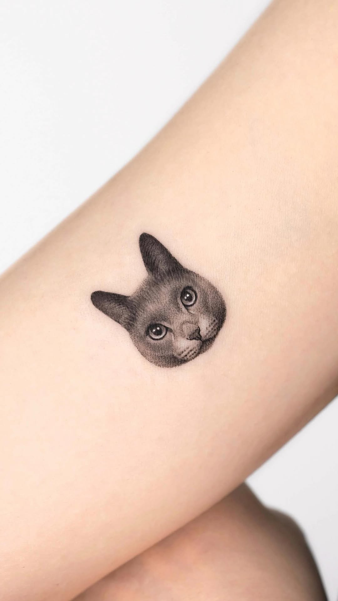 dorok.tattoo