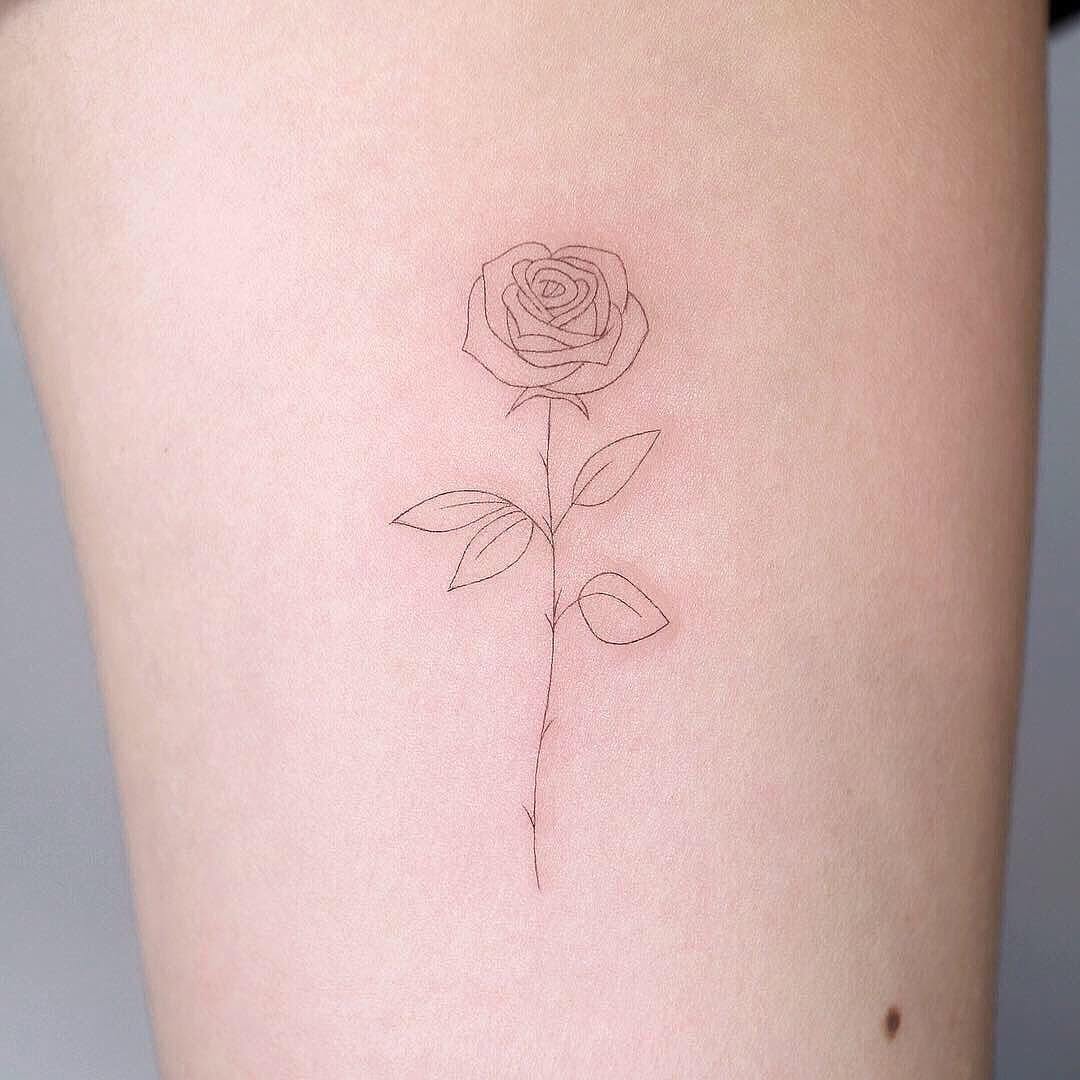 Flower, Rose