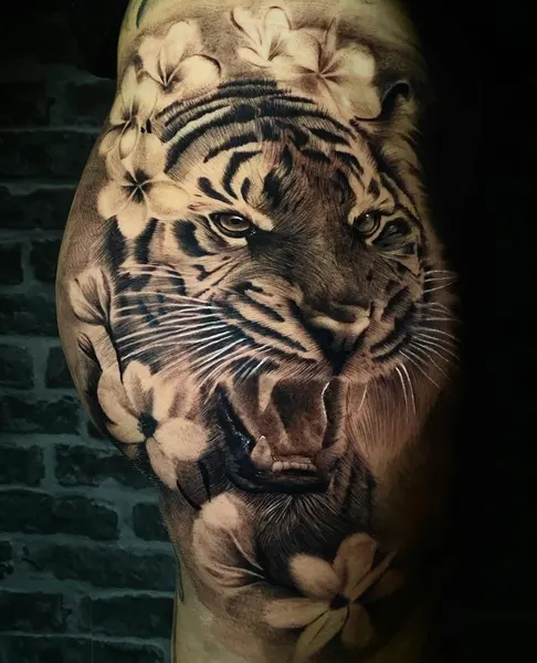 Tiger, 재규어