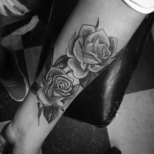 Flower, Rose