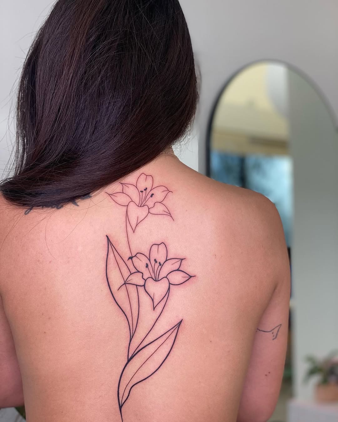 Flower, Nature