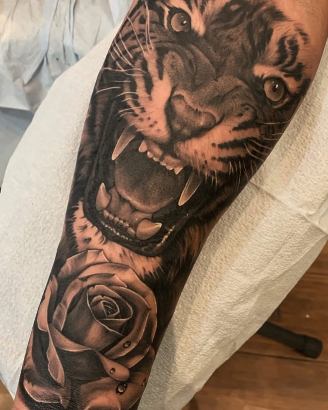 Tiger