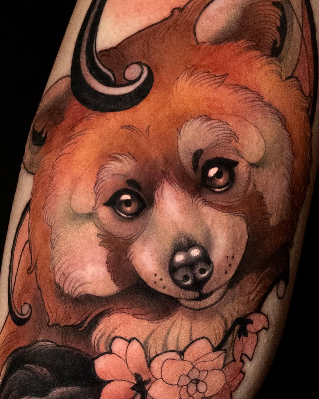 Animal, 곰