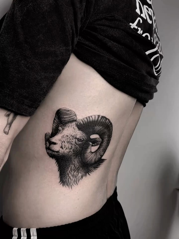 Animal