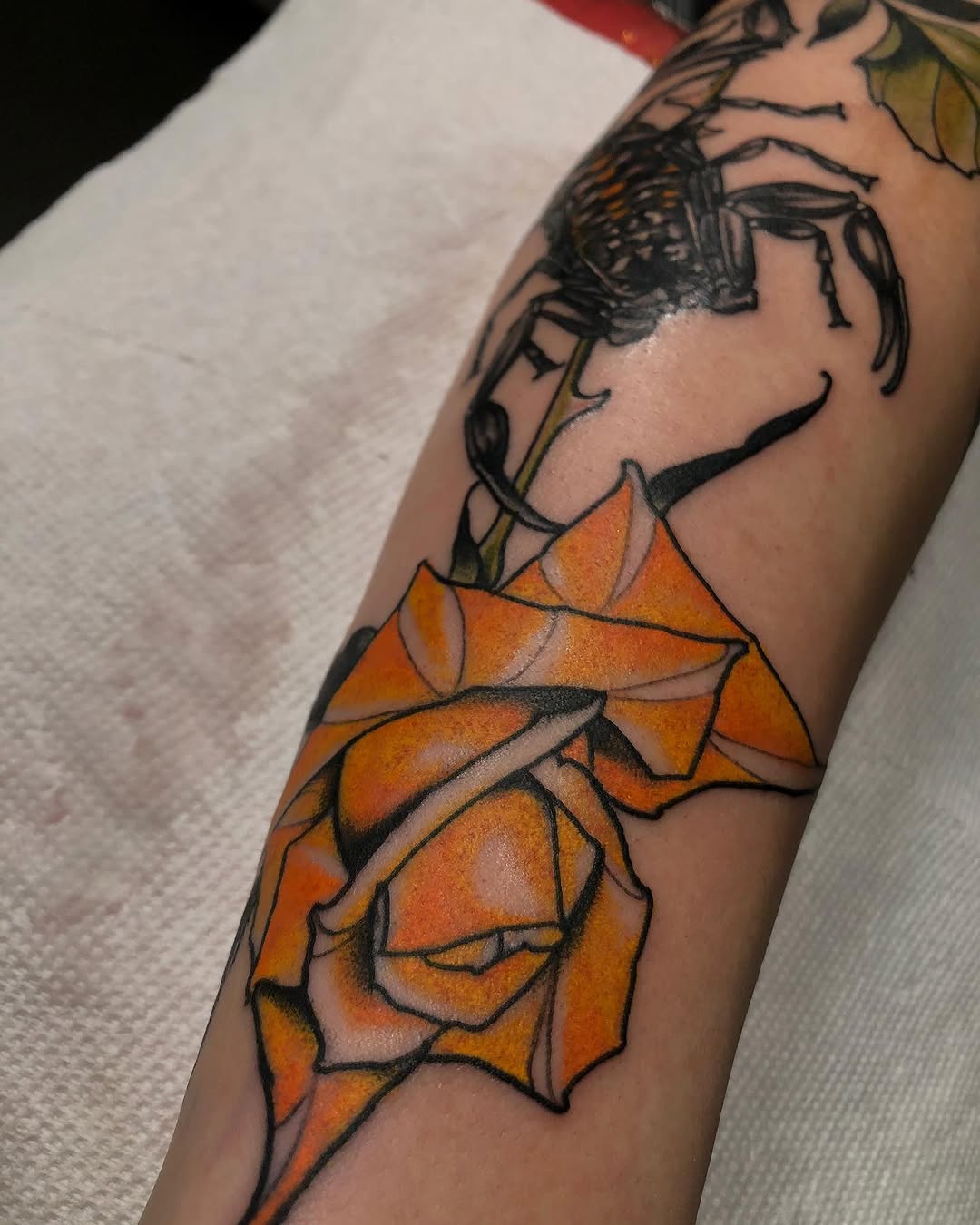 Flower, Rose