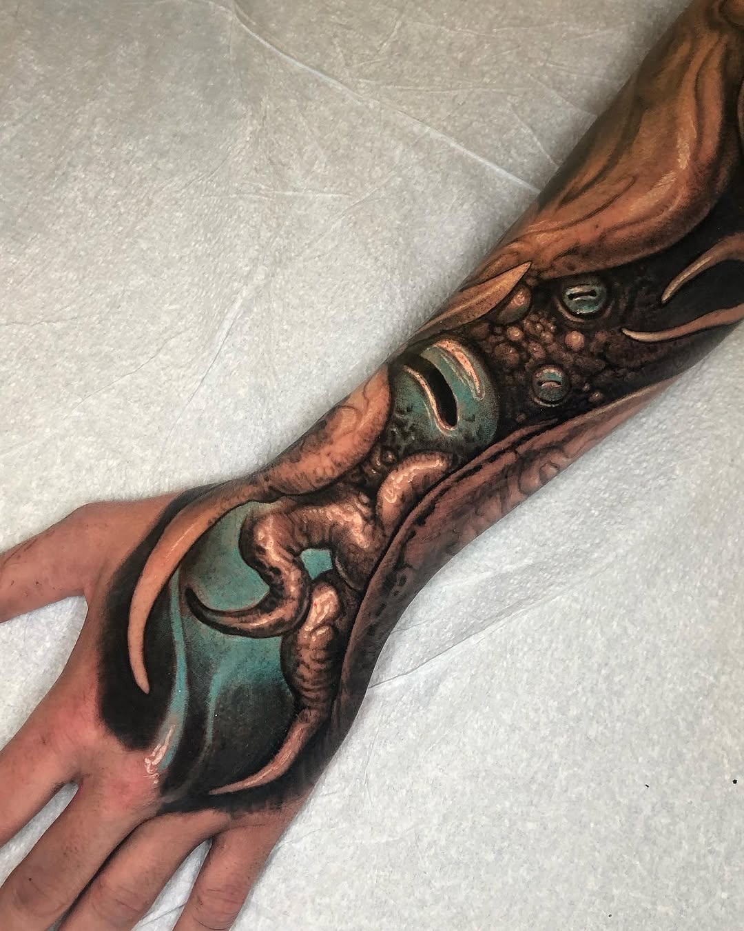 Animal, Dragon