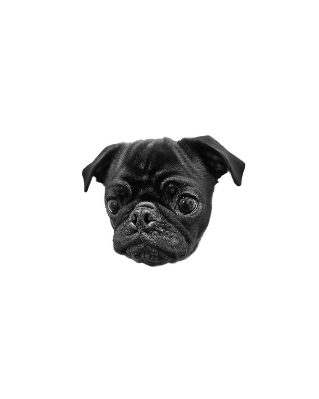 dorok.tattoo