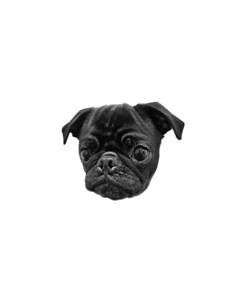 dorok.tattoo