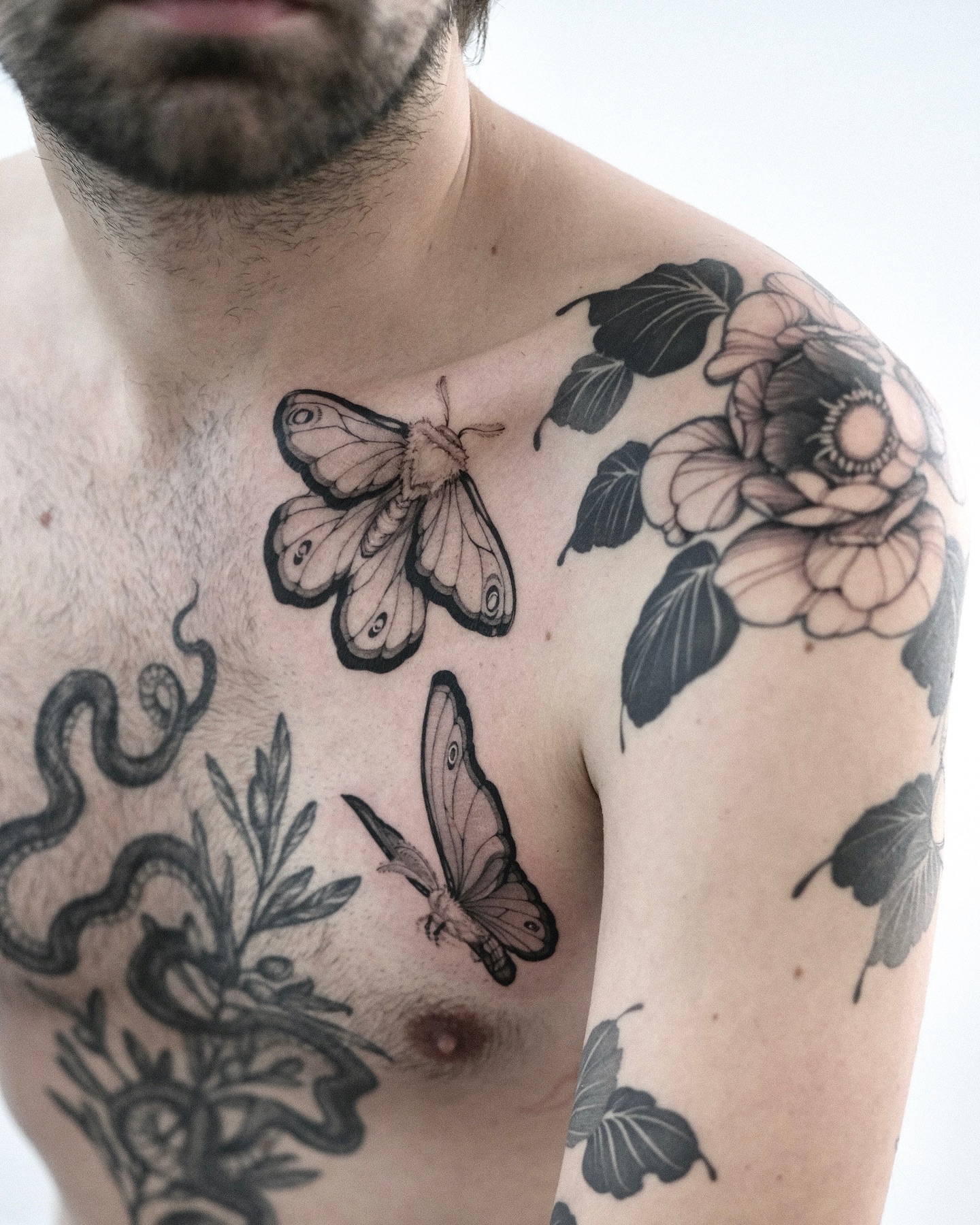 Flower, Rose, Nature