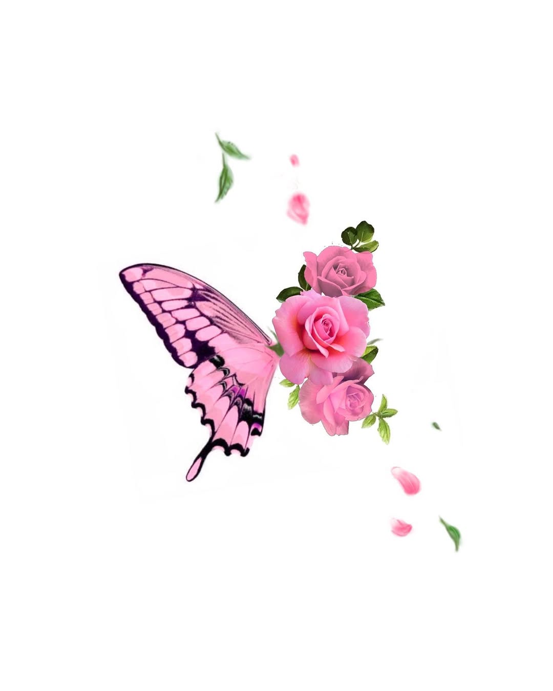 Flower, Rose, Nature