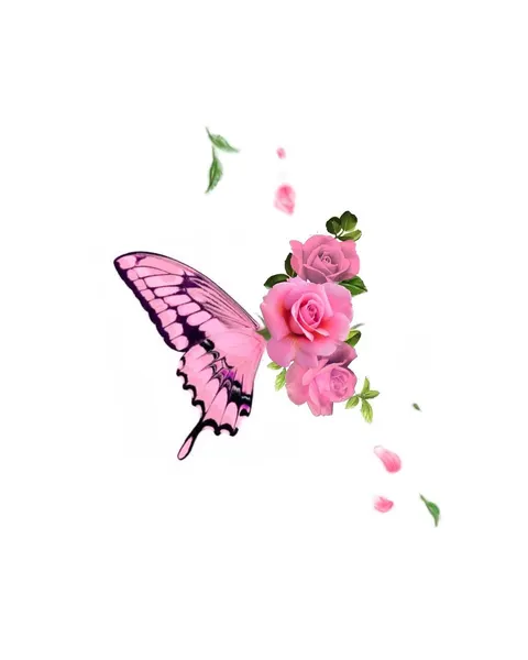 Flower, Rose, Nature