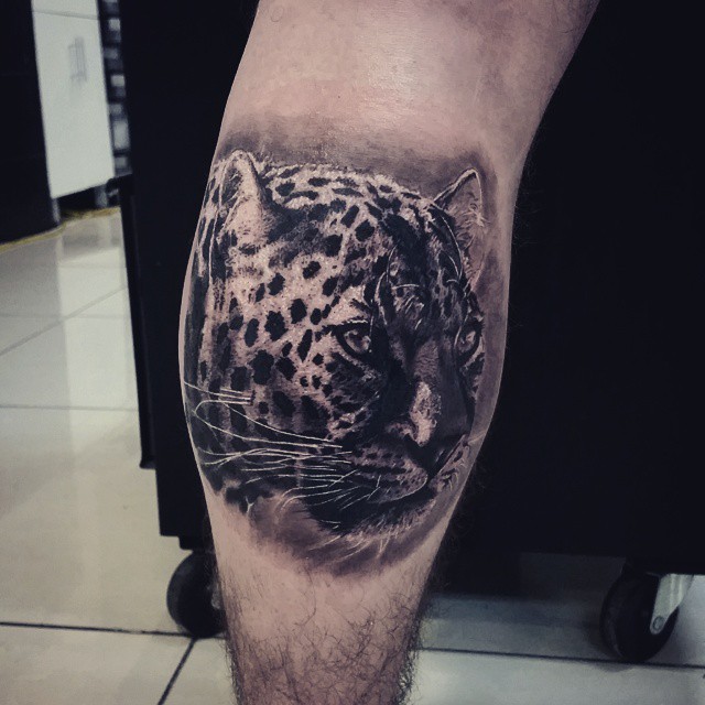 Animal