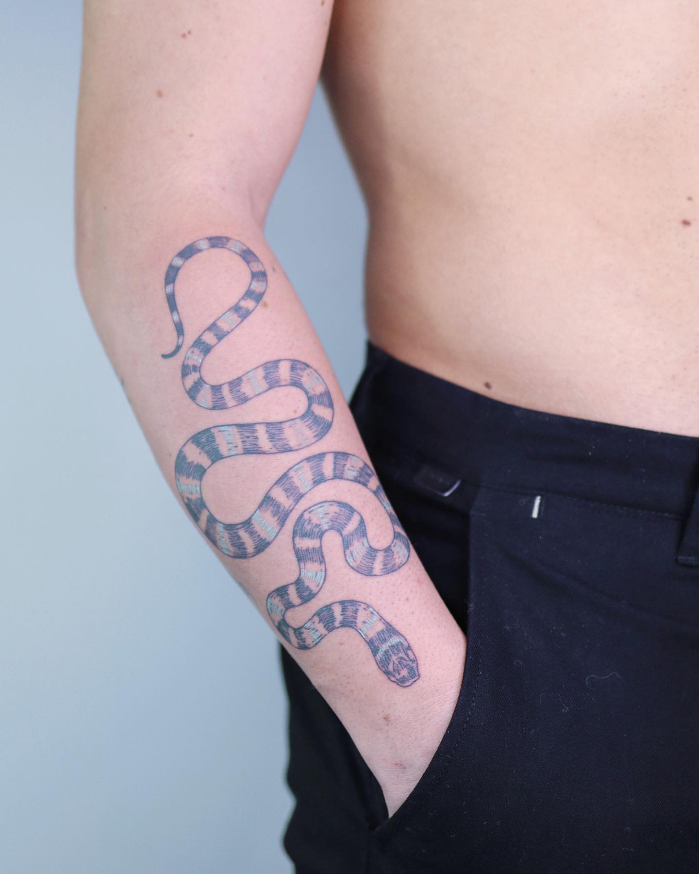 Dragon, Snake