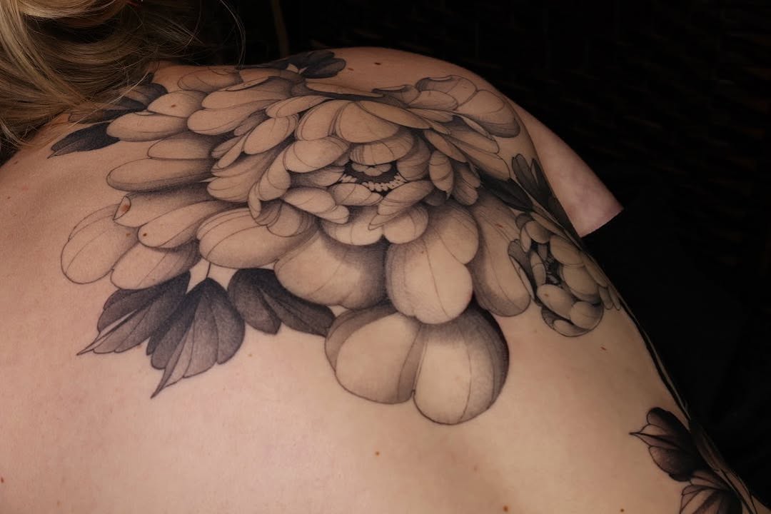 Flower, Rose, Nature