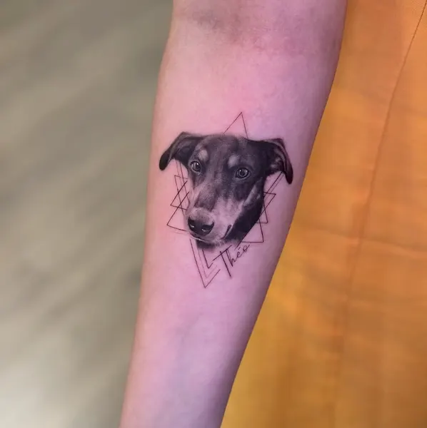 Animal