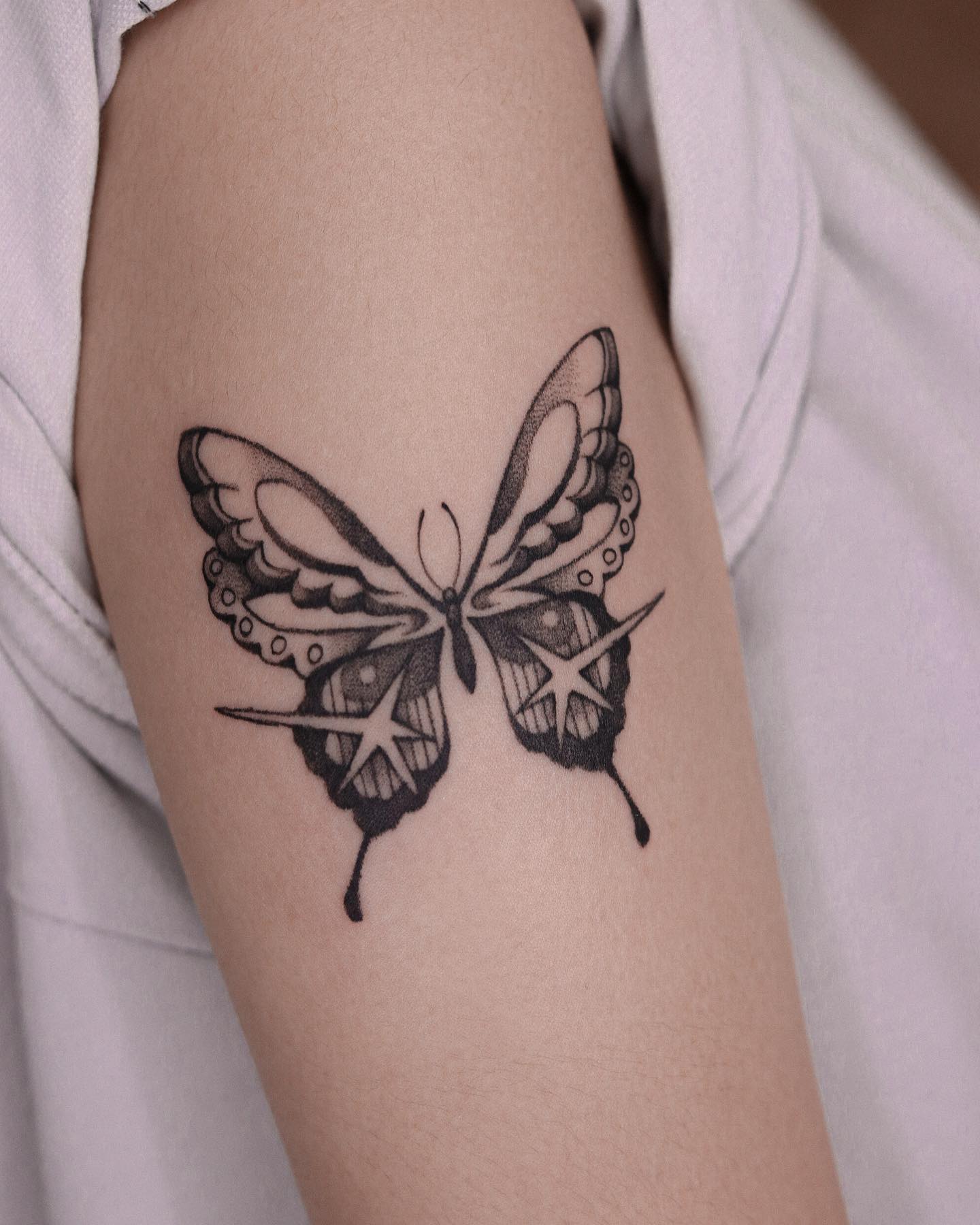 Animal, Nature