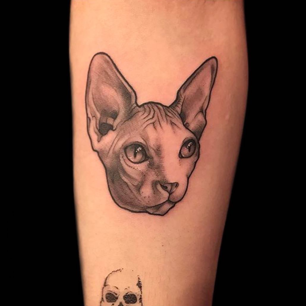 Animal