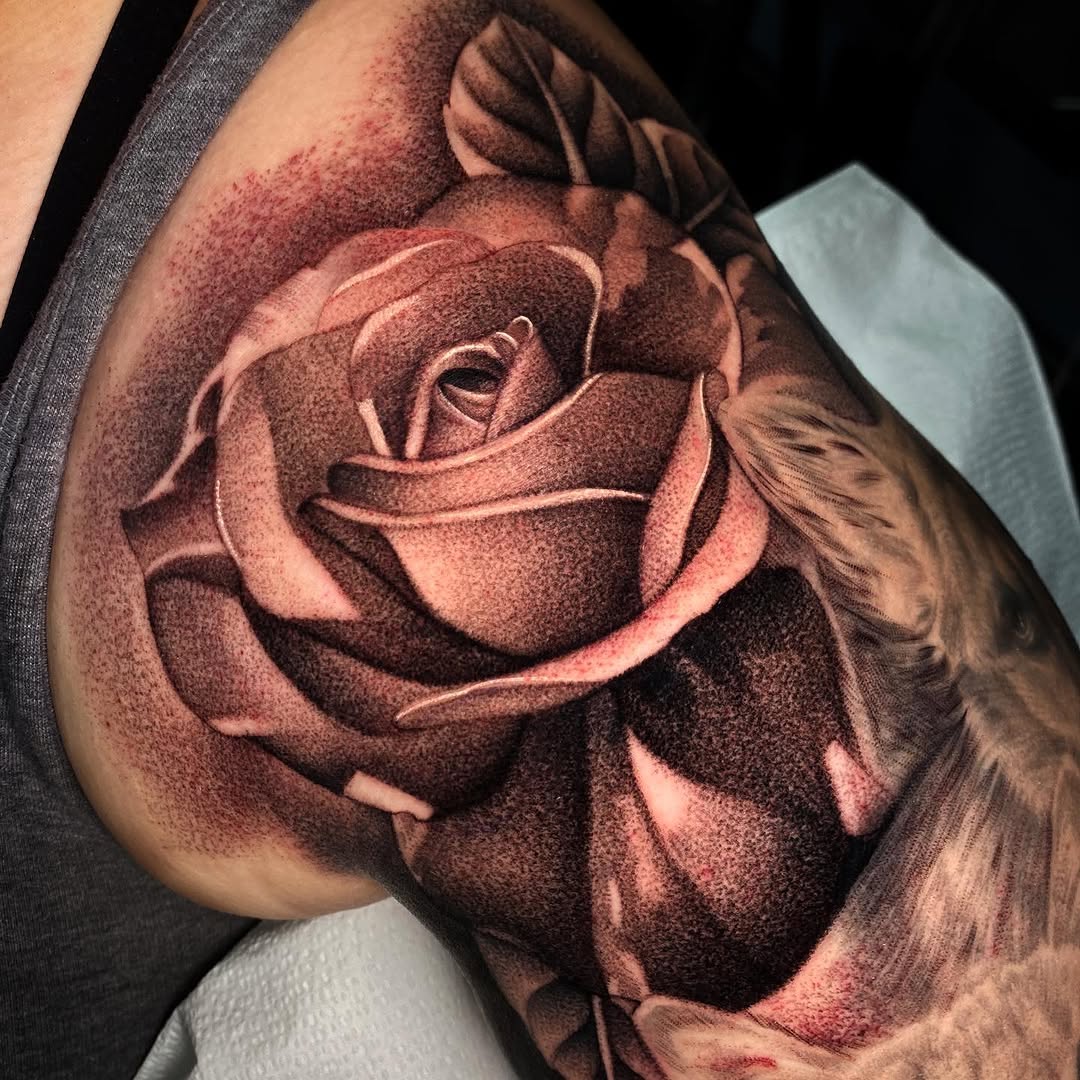 Flower, Rose