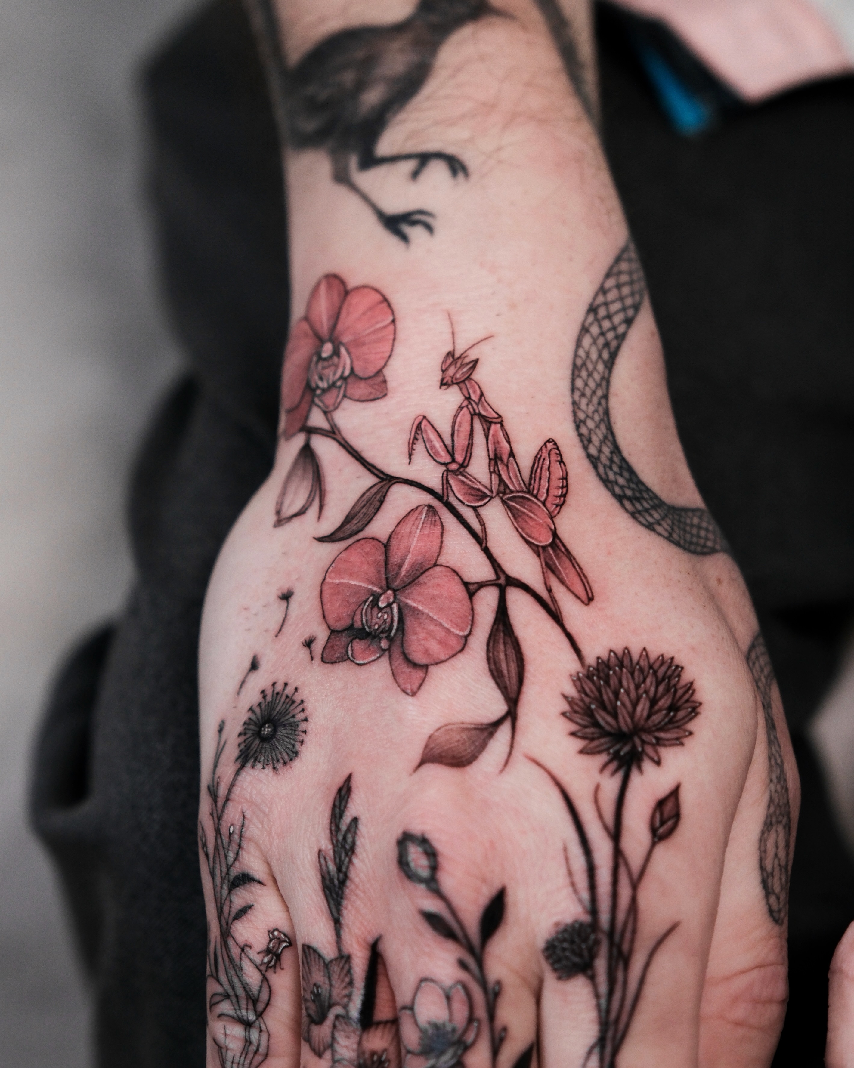 Flower, Rose