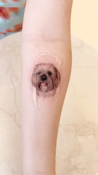 Animal
