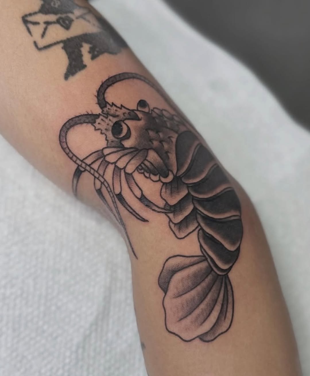 Full Circle Tattoo