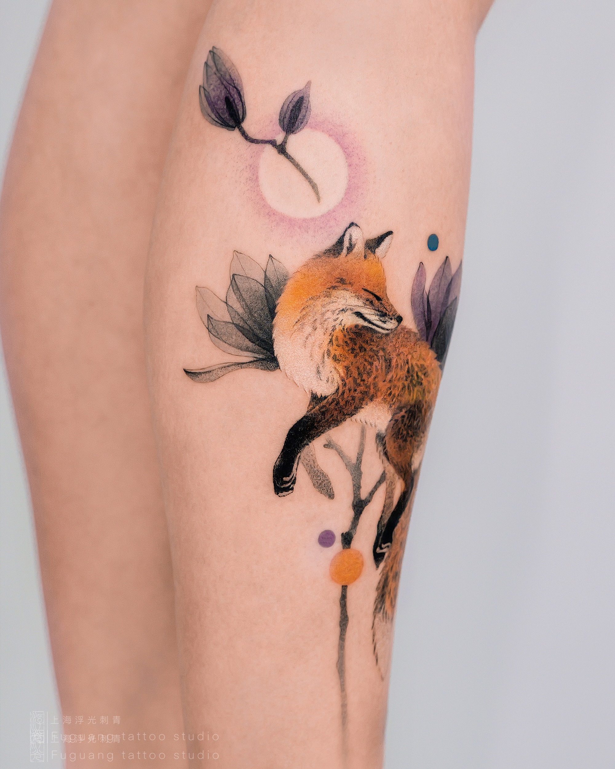 Animal, 여우