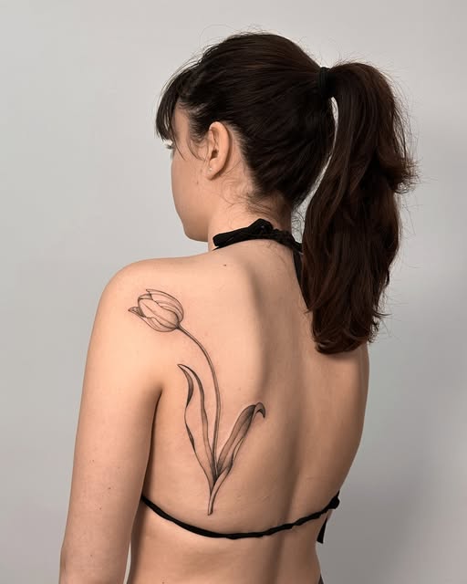 Flower, Rose, Nature