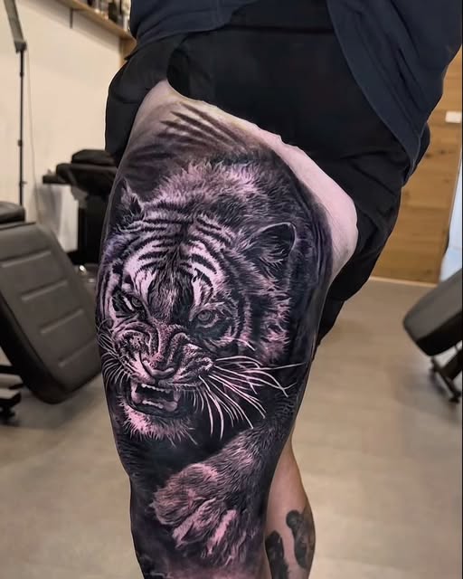 Tiger, 한국 호랑이, 중국 호랑이