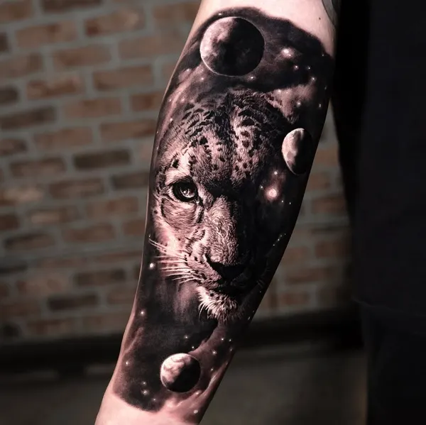 Animal, Tiger