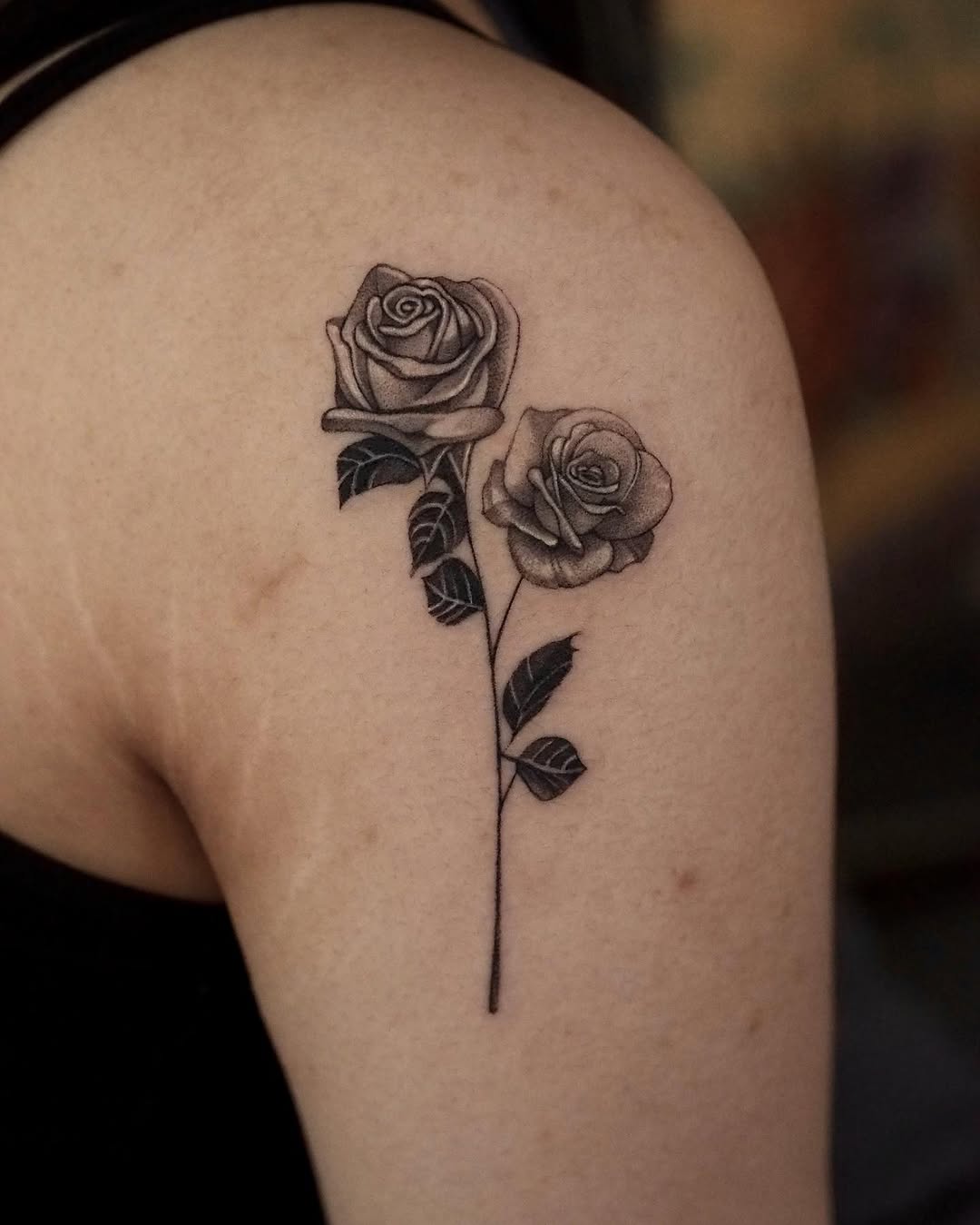Flower, Rose, Nature