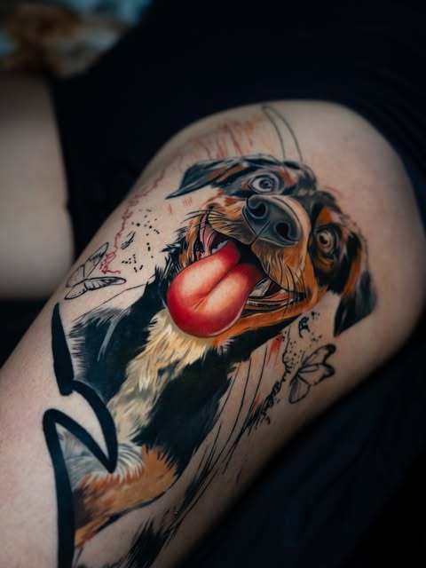 Animal