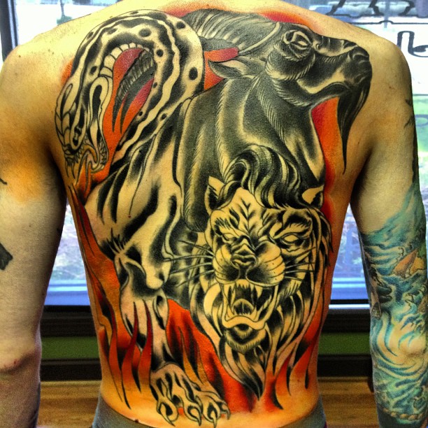 Tiger