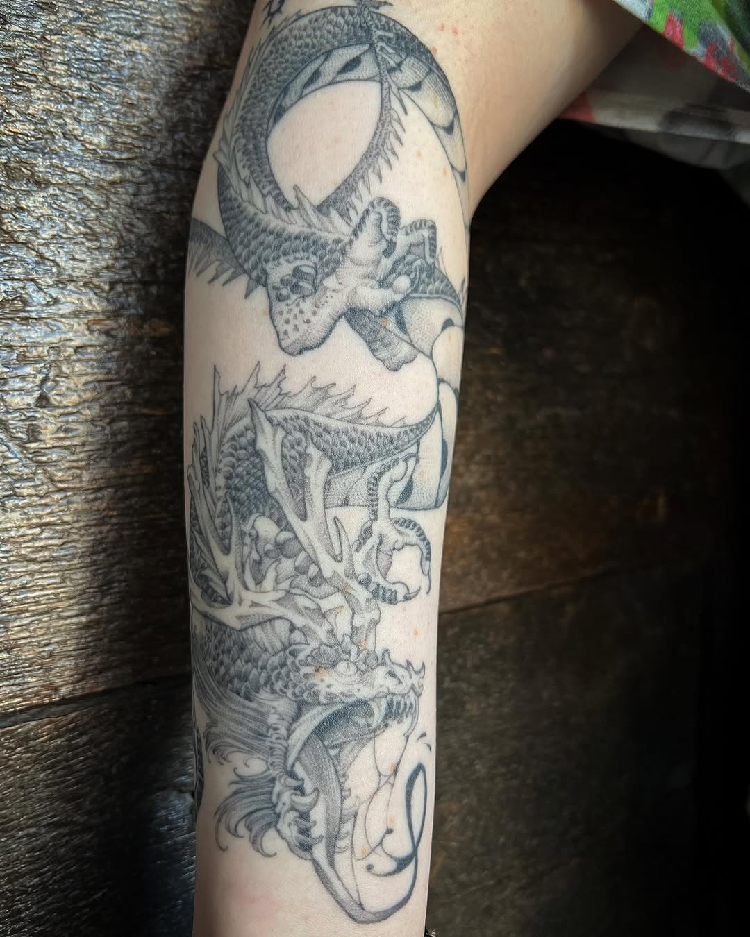 Dragon