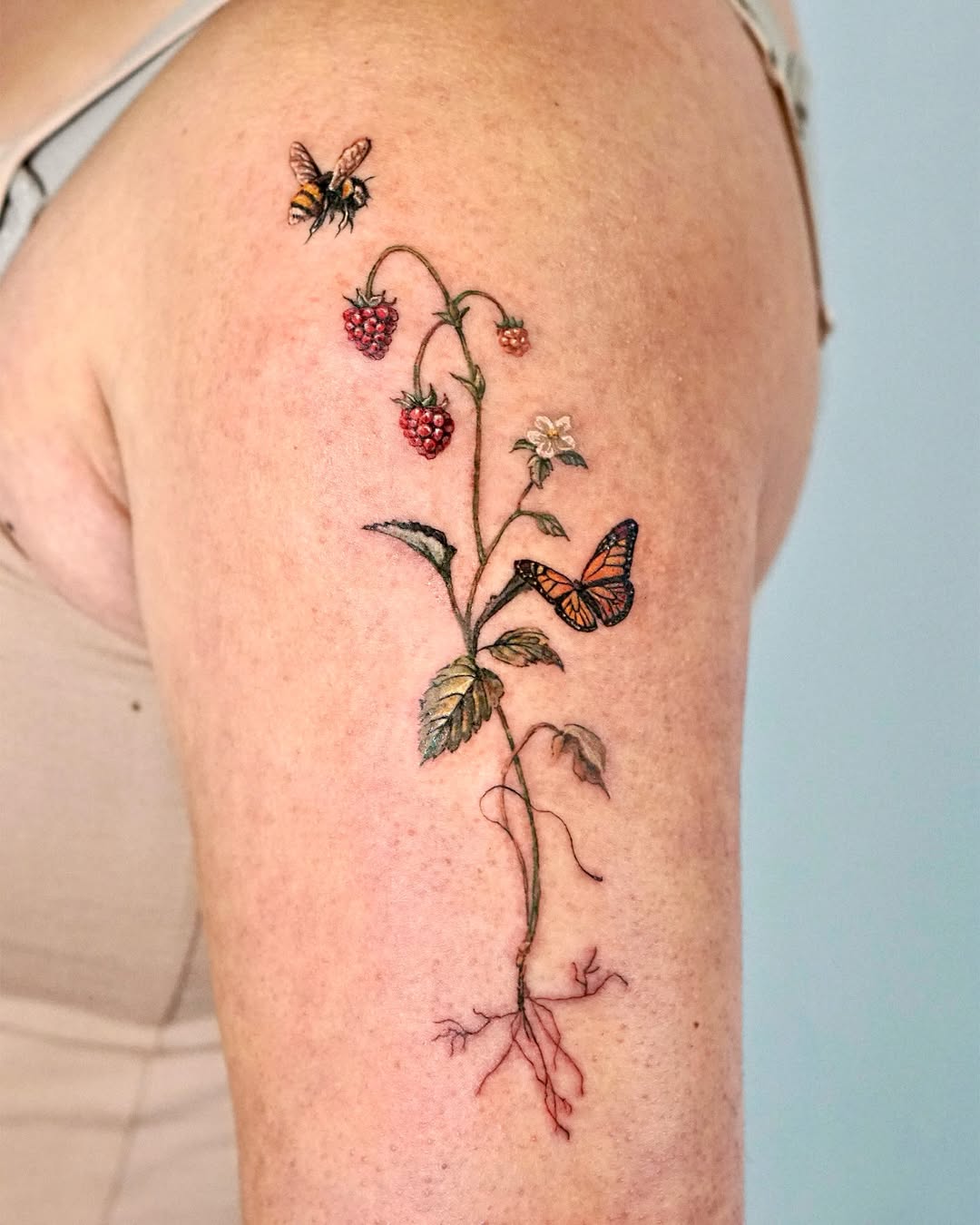 Flower, Rose
