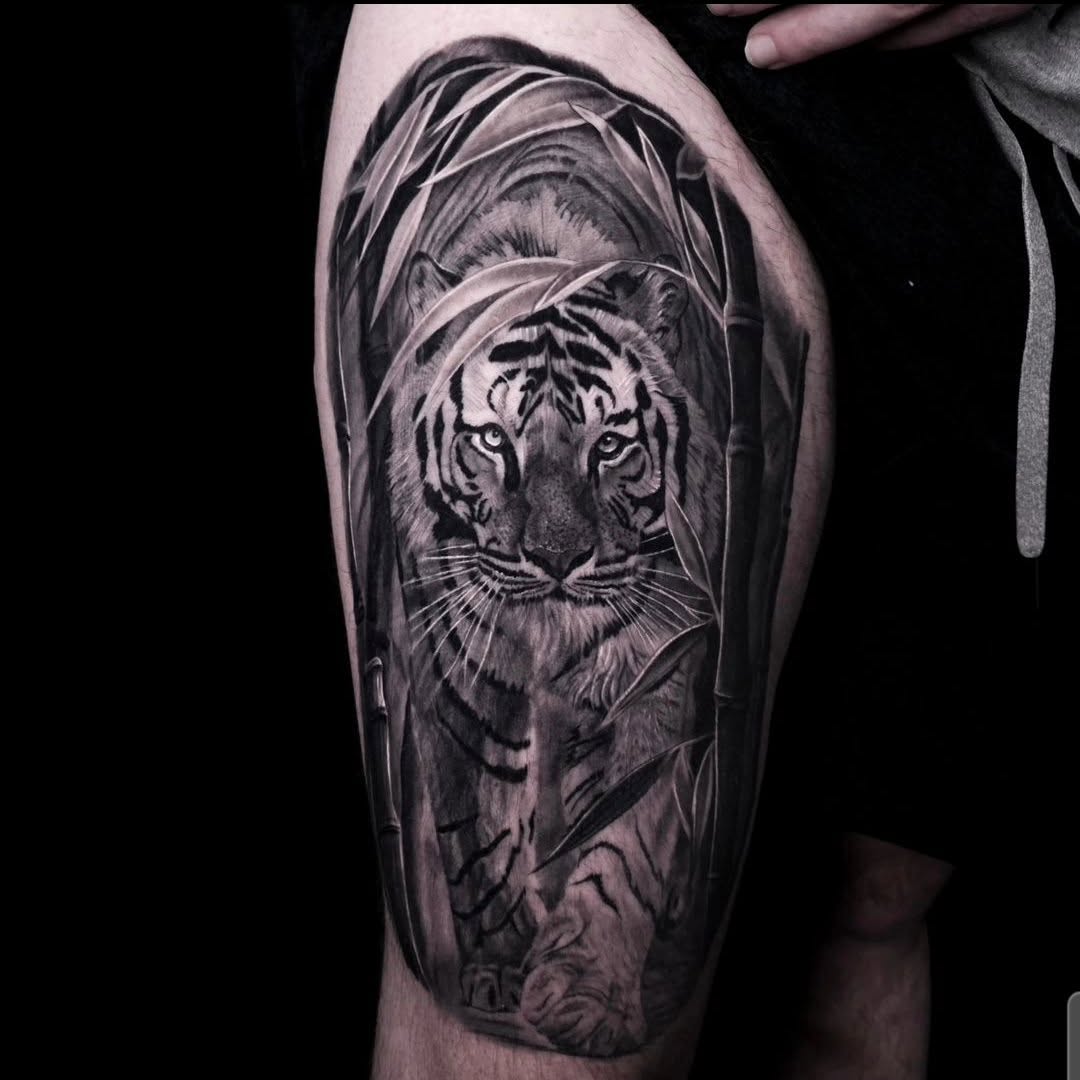 Tiger