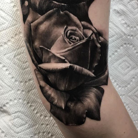 Flower, Rose