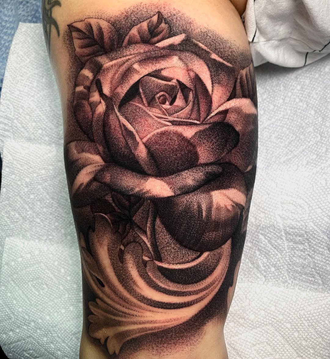 Flower, Rose