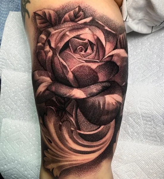 Flower, Rose