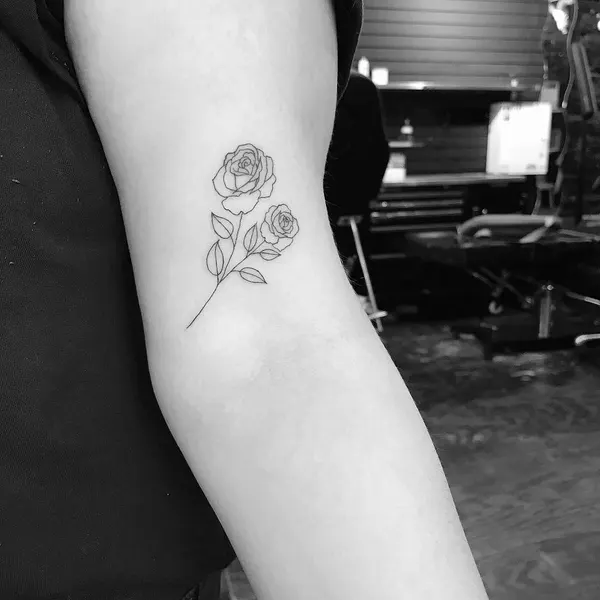 Flower, Rose
