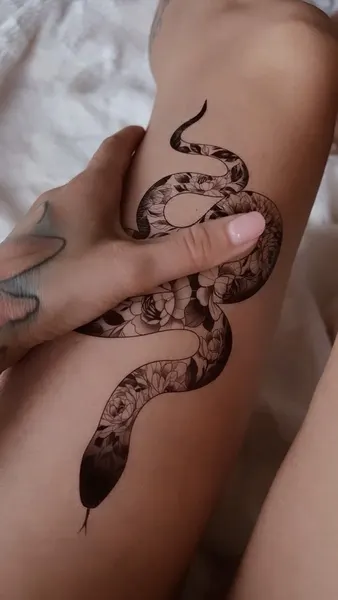 Dragon, Snake