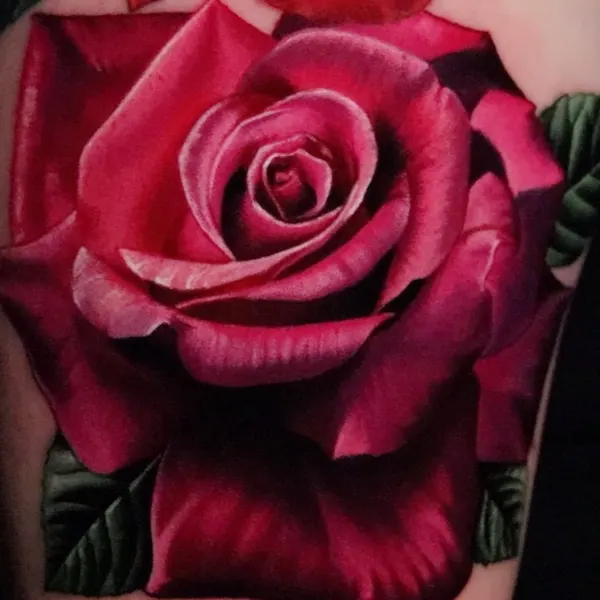 Flower, Rose