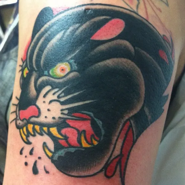 Animal, Tiger