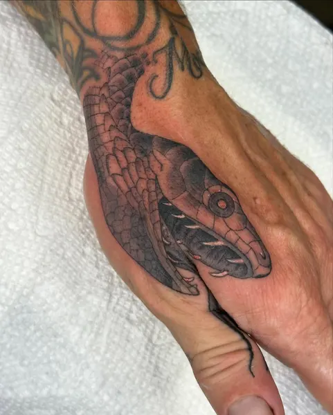 Matt Pardo