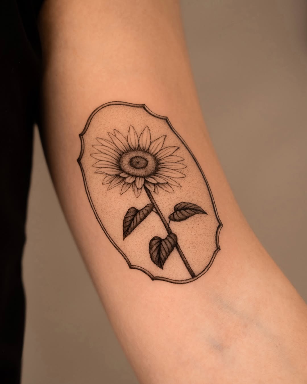 Flower, 해바라기, Rose