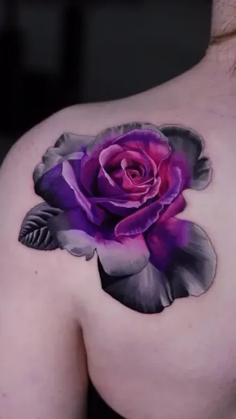 Flower, Rose, Nature