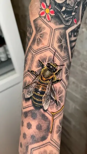 Animal
