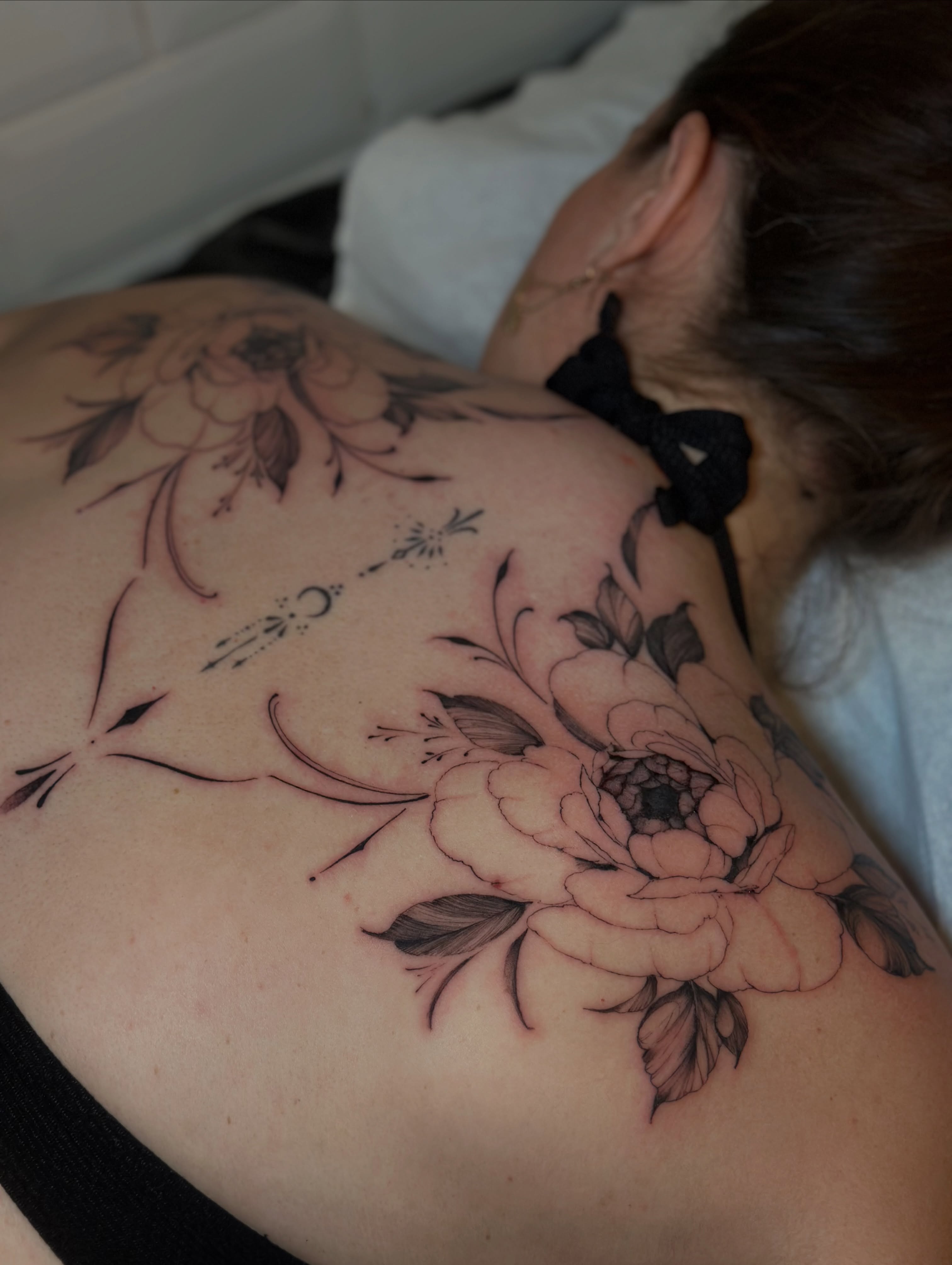 Flower, Nature, Rose
