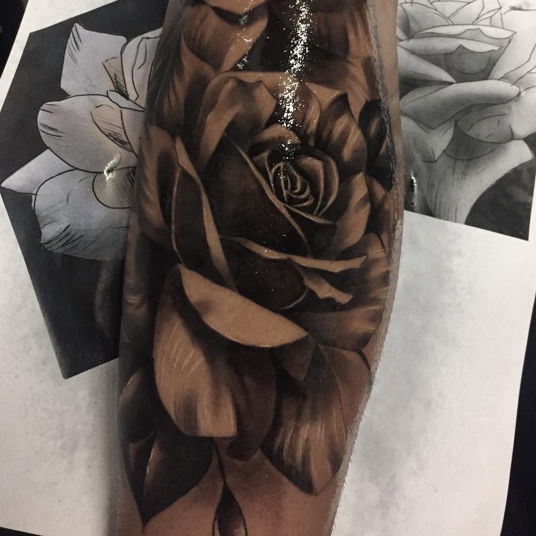 Flower, Rose