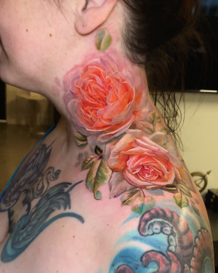 Flower, Rose, Nature