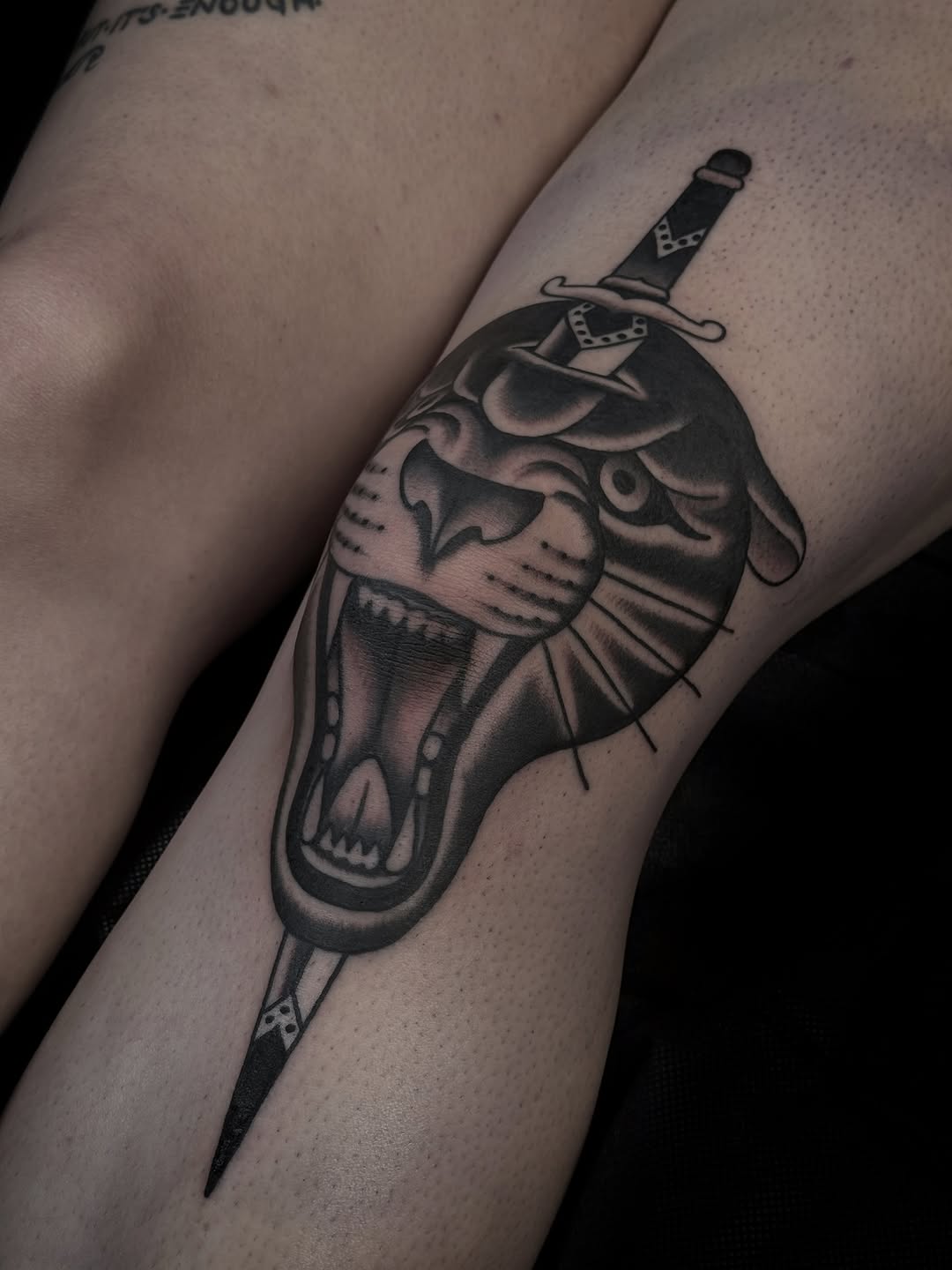 Animal, Tiger